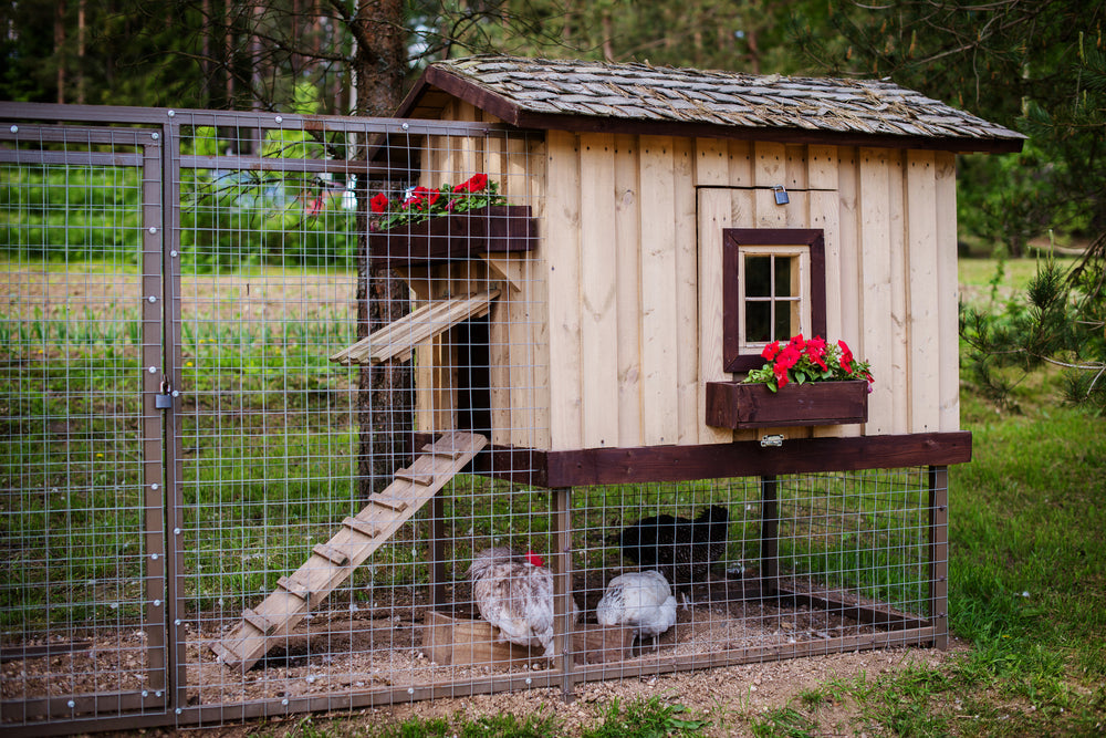 Hühnerstall bauen – Anleitung &amp; Tipps: So gelingt dein Hühnerstall selber bauen